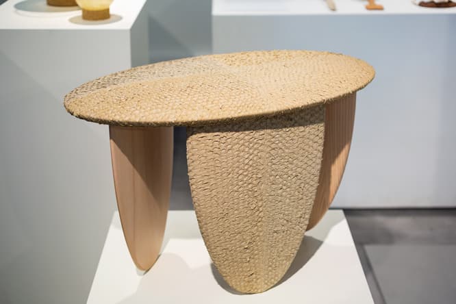 魚の皮、動物の内臓、骨、キズのある皮革などを素材に使った〈Craftica〉。価値のない素材が、フォルマファンタズマの手にかかると存在感のあるオブジェになる。
