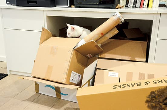 ボックスに出たり入ったりでエクササイズ。