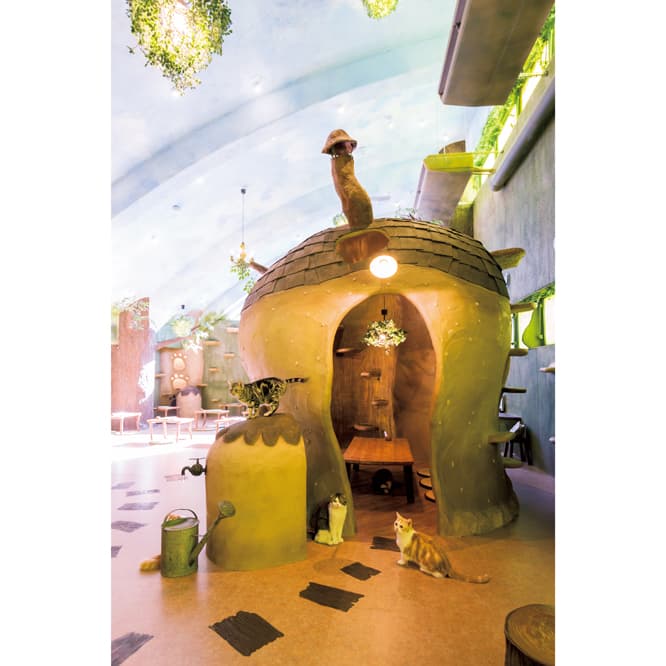 半個室になった建物が店内に2か所。オープンスペースにはローテーブルが並ぶ。