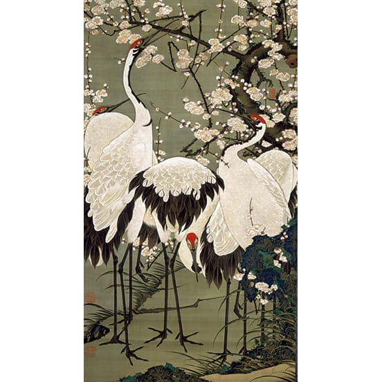 《動植綵絵　梅花群鶴図》宮内庁三の丸尚蔵館 