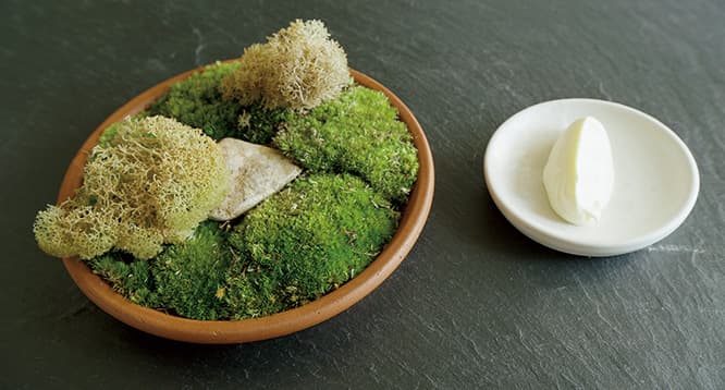クリスピーなハナゴケ。苔をゆでて素揚げにしたもの。フレッシュクリームをつけていただく。