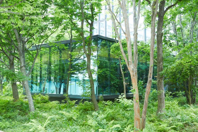 ガラス張りのカフェは「大手町の森」の中に位置する。