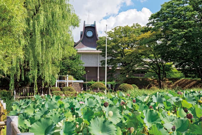 千秋公園内にある旧美術館の設計は、日建設計。とんがり屋根の頂部周囲にある丸窓は、室内に光を取り入れるもの。