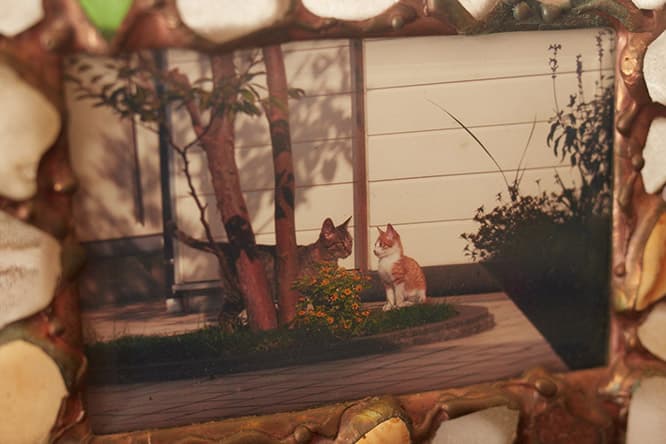 ilove.cat：マジシャン・前田知洋☓ヒミツ　一瞬で見惚れる、しなやかな動き