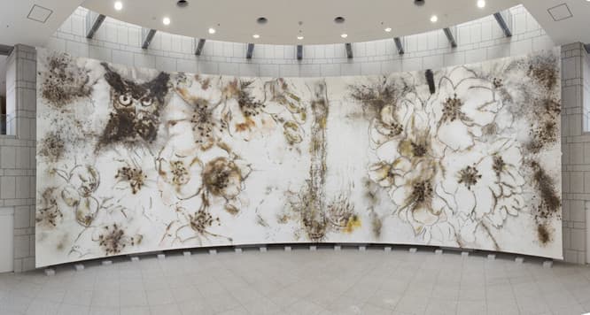 《夜桜》2015、火薬、和紙、800×2400cm、作家蔵