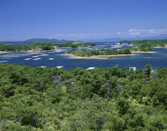 英虞湾のリアス式海岸。(c)アマン