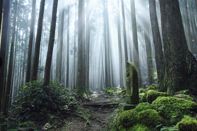 熊野古道。(c)アマン