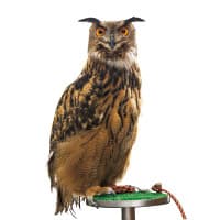 「東京を夜まで遊び尽くす」がテーマのホステル〈WISE OWL HOSTELS TOKYO〉。