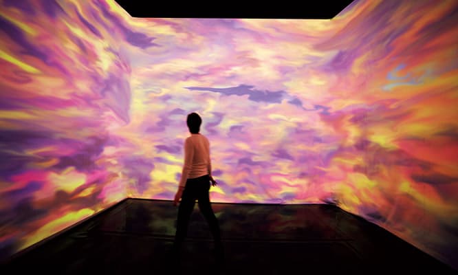 ミゲル・シュバリエのビデオアート。