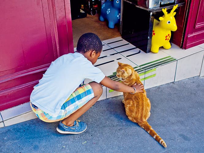 LIFE@PET｜モンマルトルの人気猫「ミヌー」が行方不明!?