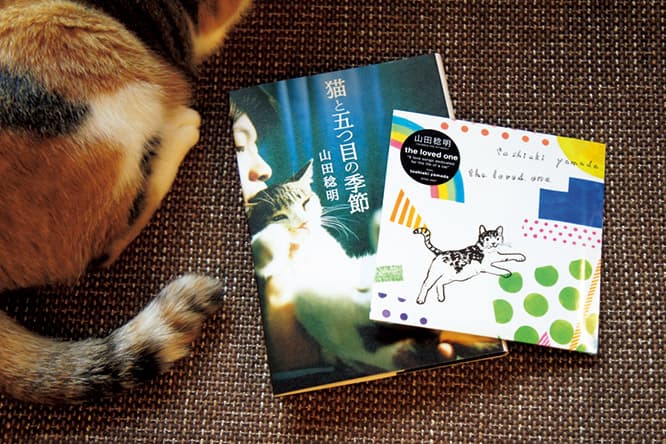11月3日発売の小説『猫と五つ目の季節』とアルバム『the loved one』。出版記念で毎年10月に開催される『吉祥寺ねこ祭り』に参加予定。