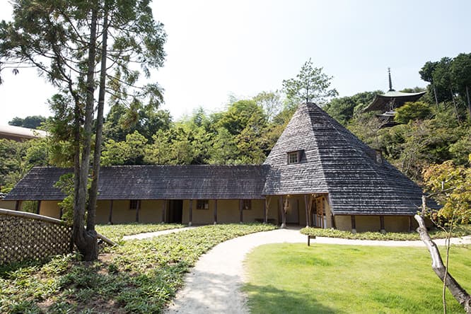 藤森照信設計の寺務所〈松堂〉。瀬戸内に多い赤松が屋根から生えている。藤森は、松は禅のイメージにもっとも近い木だと言う。