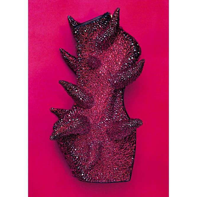 Homage to Taro Series : Heel-less Shoes “Sun”, Photo by Noritaka Tatehana, ©NORITAKA TATEHANA, 2016