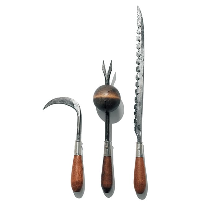 左から／亀裂に張った根を取り除くためのクレヴィスウィーダー7,200円、ボールを使った、てこの原理で根を引き抜くボールウィーダー8,800円、根切り用のこぎり9,800円。