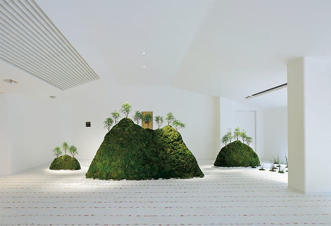 〈銅屋根〉内観、ラ コリーナ近江八幡（たねや本社屋）。室内でも植物が育つ。　©Nacása &amp; Partners