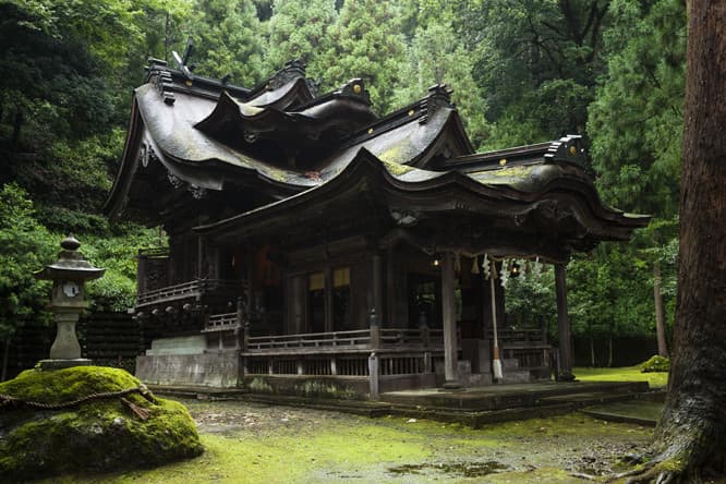 生き物のようにうねる〈大瀧神社〉の屋根。越前和紙の里にあり、紙の神様を祀っている。
