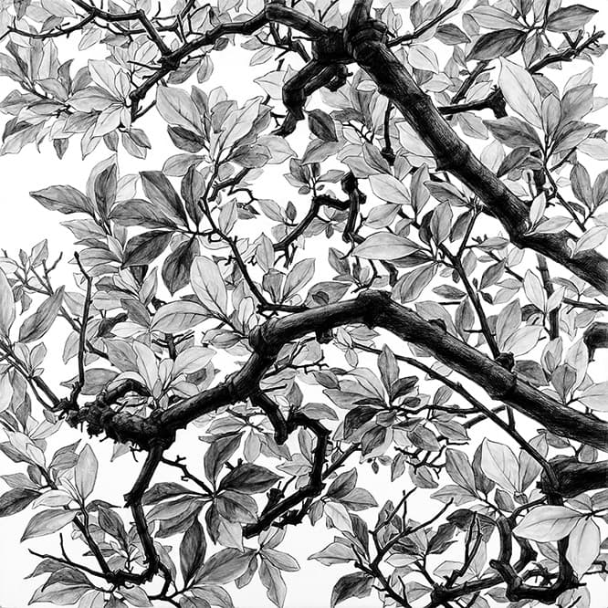 《空との距離 ⅩⅣ（ドローイング）》2017年　©Rieko Hidaka　Courtesy of Tomio Koyama Gallery