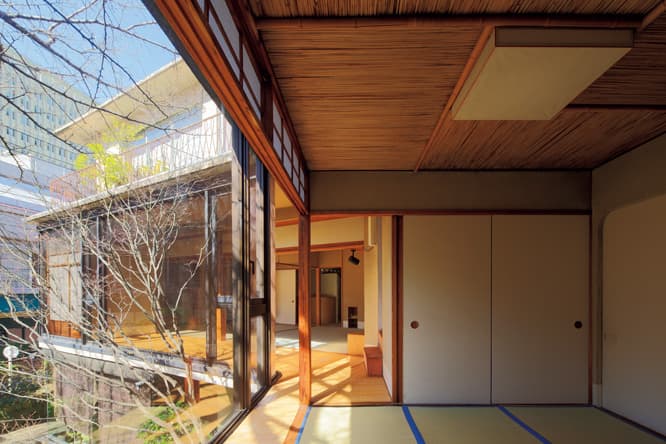 Yの字につながる内部空間。工夫満載の茶室から左手の庭と、居室を望む。