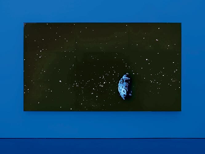 ダイアナ・テイターのビデオ作品《The Starry Messenger》。
Courtesy David Zwirner, NY/London