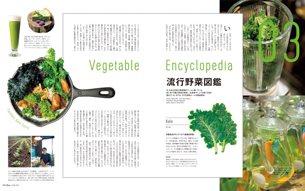 最新号『野菜の楽しみ。』発売中！