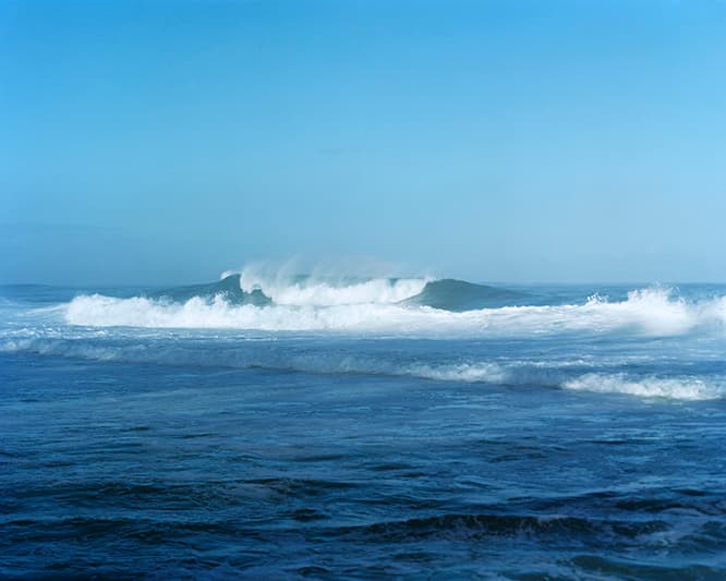 NEW WAVES, 2017　(c) Takashi Homma