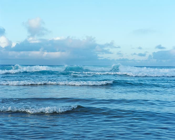 NEW WAVES, 2013　(c) Takashi Homma