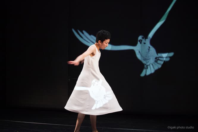 鳩は紗幕やダンサー、ホワイトボードの上を自在に羽ばたく。　〈映像芝居「錆からでた実」試演会より＠城崎国際アートセンター〉