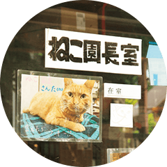 〈宇都宮動物園〉猫園長の優雅な生活。