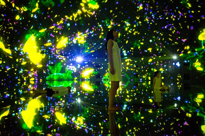 《Floating in the Falling Universe of Flowers》
teamLab, 2016, Interactive Digital Installation, Endless