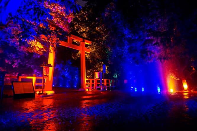 歴史ある下鴨神社を、幻想的な光が照らしだす。