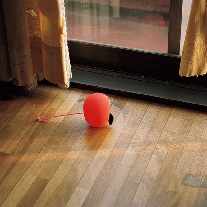 Tinny &amp; THE BALLOON GALLERY｜本城直季／遊んで。