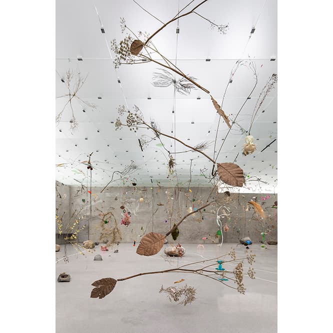 Gerda Steiner &amp; Jörg Lenzlinge　Lungenkraut, 2017　photo_ Markus Tretter　Courtesy of Atelier Peter Zumthor &amp; Partner　(c) Gerda Steiner &amp; Jörg Lenzlinger, Kunsthaus Bregenz