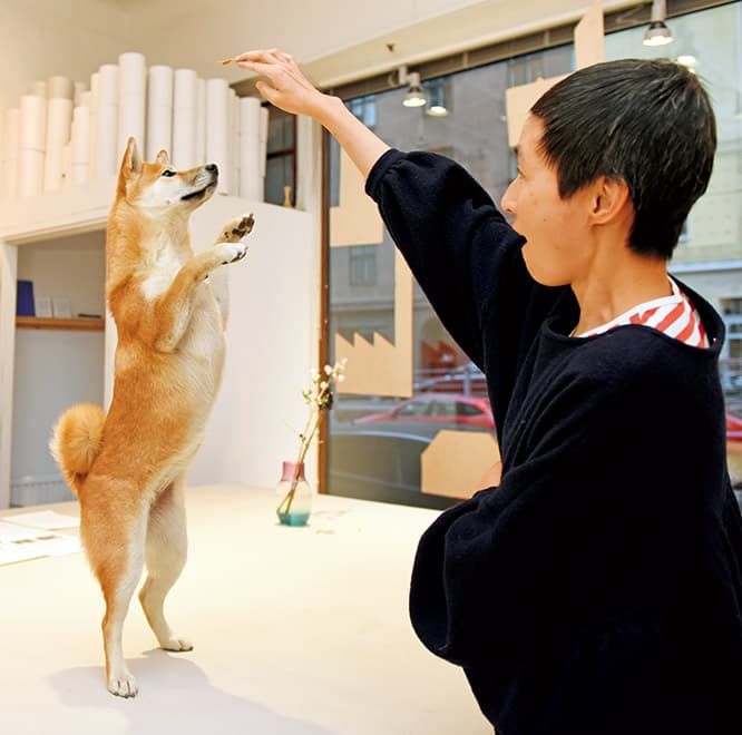 LIFE@PET｜柴の看板娘はフィンランド生まれ。