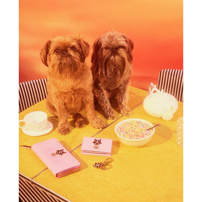 Courtesy of Gucci, Photos by Petra Collins