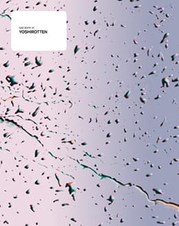 YOSHIROTTENの大規模な展覧会が開催。