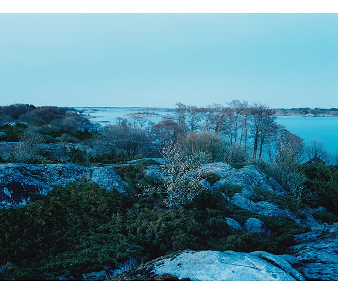 (c) Nao Tsuda, Courtesy of Taka Ishii Gallery Photography / Film