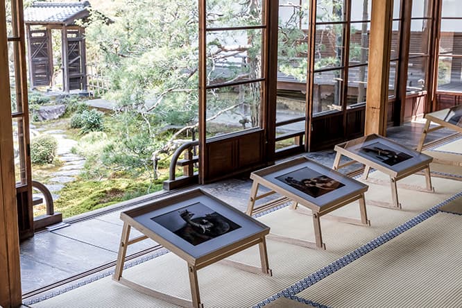 両足院（建仁寺内）にて開催中の荒木経惟「机上の愛」。座禅を組むような気持ちでアラーキーの写真を鑑賞できる。