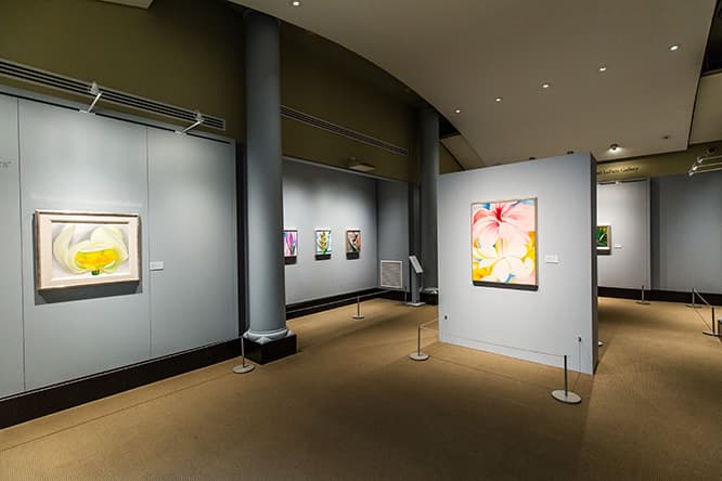 ブロンクスのNYボタニカルガーデンのギャラリーで絵画を展示。