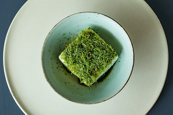 口の上でスーッと溶ける冷たい豆乳ムースに、常緑針葉樹であるトウヒの葉をまぶし、松ぼっくりの砂糖漬を添えた「トウヒとさるなし〜豆乳、トウヒとさるなし〜」。