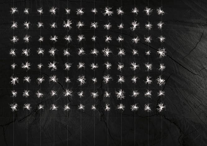CANADA GOOSEと藤本壮介のコラボ作品「Particle of Life」。