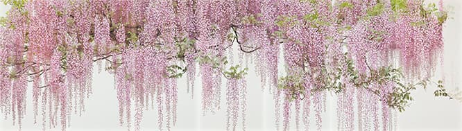 《無数の輝く生命に捧ぐ》2011-13年、個人蔵