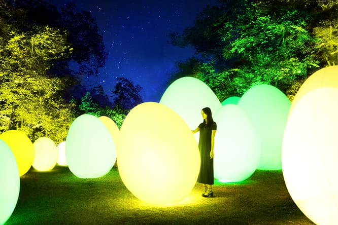 《呼応する、たちつづけるものたちと森 / Resisting and Resonating Ovoids and Forest》 teamLab, 2018, Interactive Digital Installation, Endless, Sound: Hideaki Takahashi