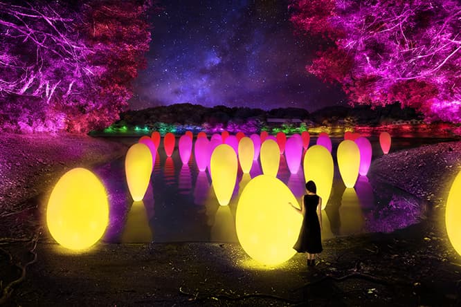 《湖面に立つ、自立しつつも呼応する生命 / Autonomous Resonating Life on the Lake Surfac》teamLab, 2018, Interactive Digital Installation, Endless, Sound: Hideaki Takahashi