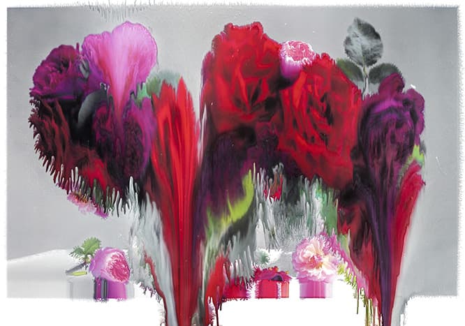 (c) Nick Knight, Rose VII, 2012（117.47×167.58cm）