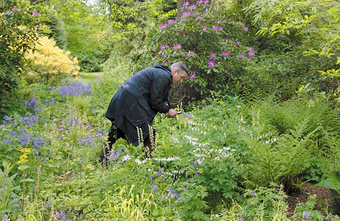 自邸の庭で部屋に飾る植物を調達するドリス・ヴァン・ノッテン。