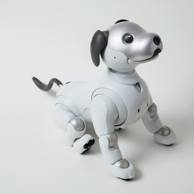 進化したAIが搭載された新型の《aibo》は、好奇心旺盛で人が大好きという基本性格に加え、飼い主の顔を覚えて、一番可愛がってくれる人のところに駆け寄ってくる。家族で争奪戦になりそうだ。