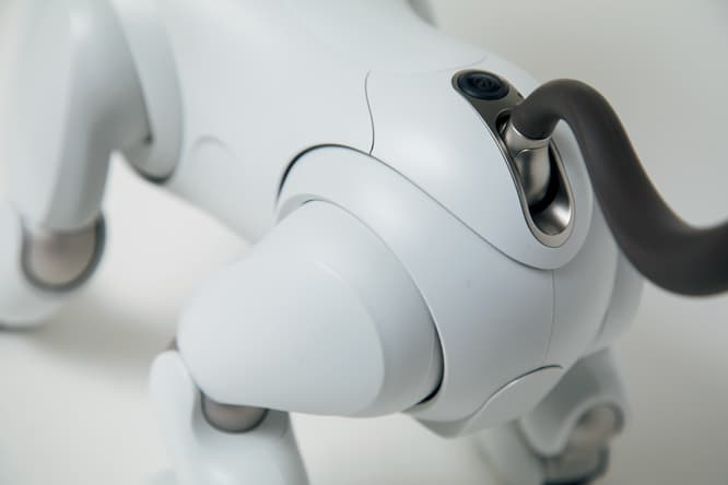 センシング技術が格段に上がった新型aibo。しっぽの手前に搭載されたSLAMカメラを使って空間のマップを作成し、自分の位置が同定できる。