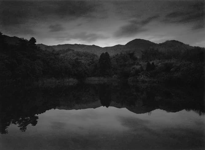 © Ichigo SUGAWARA | Nara