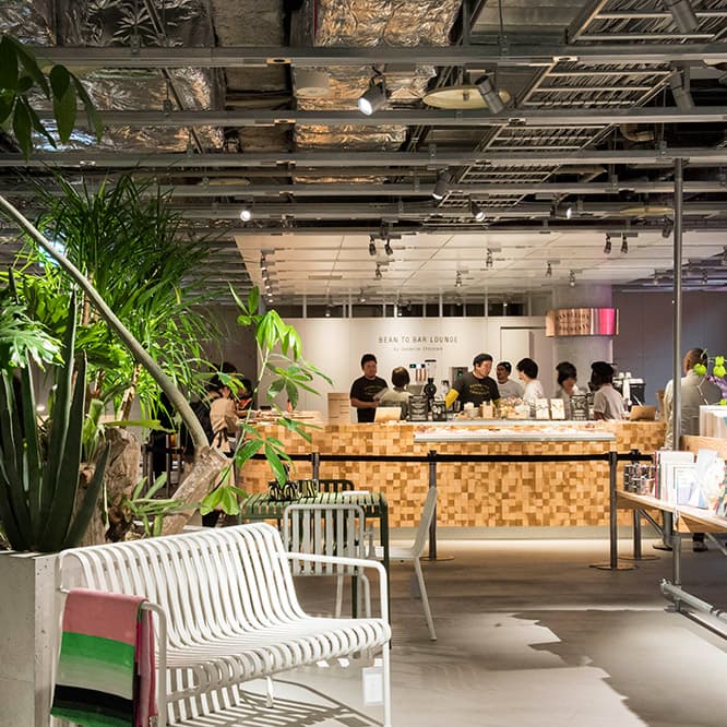 手前は〈HAY TOKYO〉。インテリアの展示スペースの延長線上に〈ダンデライオン・チョコレート Bean to Bar Lounge〉が誕生した。
