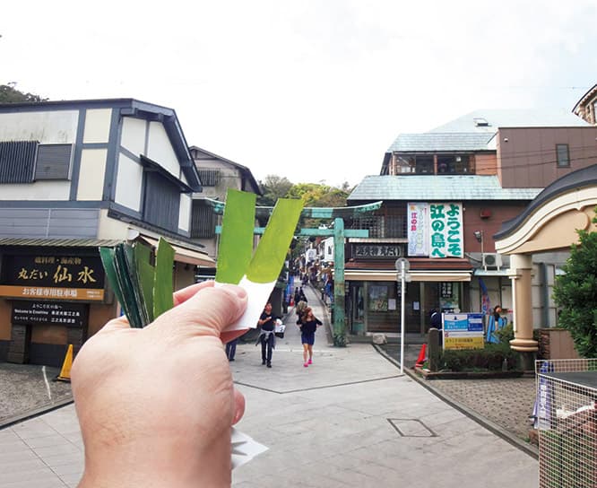 江の島の植物や街中で出会った緑をカラーハンティング。絵の具を使って同じ色を作り、短冊状のチップに記録している。